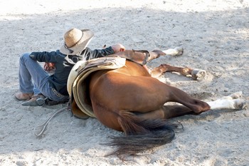 Novedades - Obras singulares en Babelarte.com